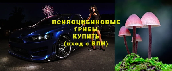 стаф Богданович
