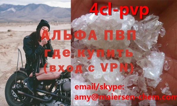 стаф Богданович