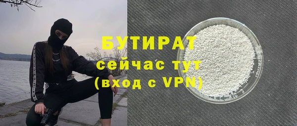 твердый Бородино