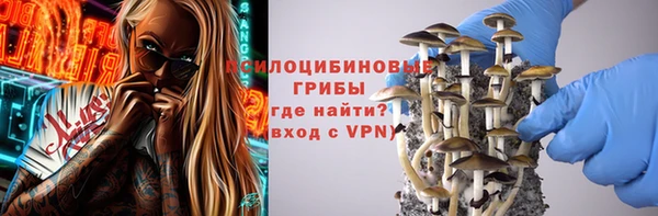 а пвп мука Богородск