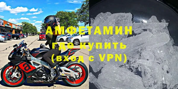 стаф Богданович