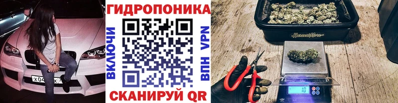 купить закладку  Волгореченск  Канабис MAZAR 
